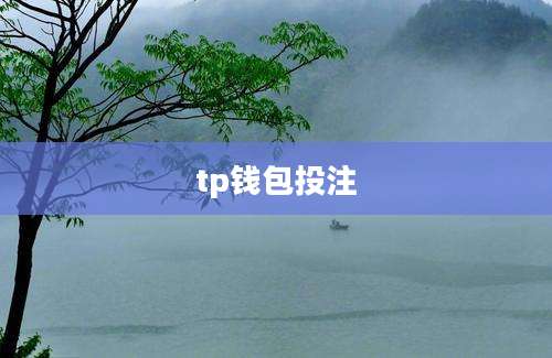 tp钱包投注