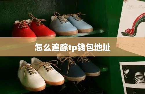 怎么追踪tp钱包地址