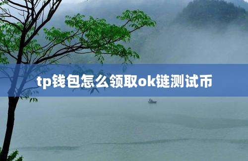tp钱包怎么领取ok链测试币