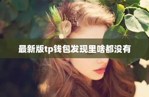最新版tp钱包发现里啥都没有