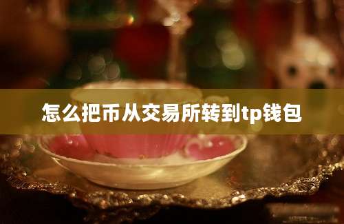 怎么把币从交易所转到tp钱包