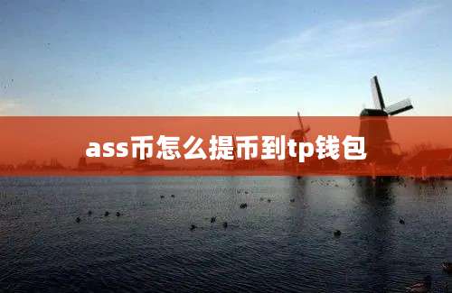 ass币怎么提币到tp钱包