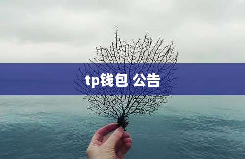 tp钱包 公告