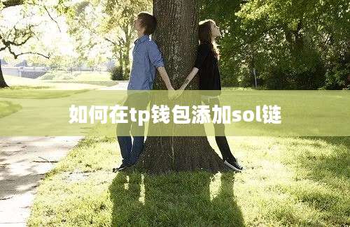 如何在tp钱包添加sol链