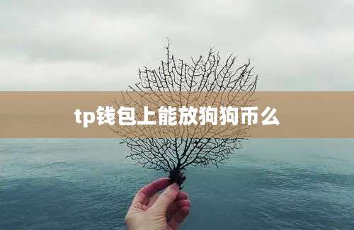tp钱包上能放狗狗币么