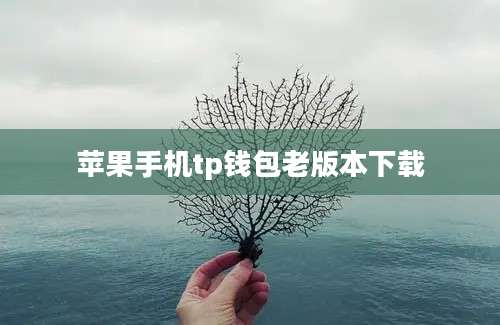 苹果手机tp钱包老版本下载