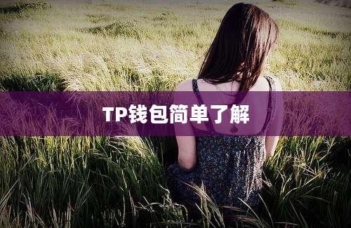 TP钱包简单了解