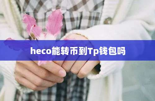heco能转币到Tp钱包吗