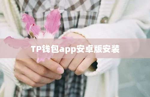 TP钱包app安卓版安装