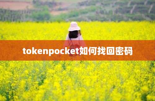 tokenpocket如何找回密码