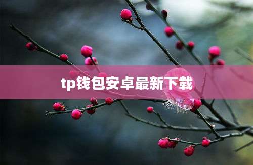 tp钱包安卓最新下载