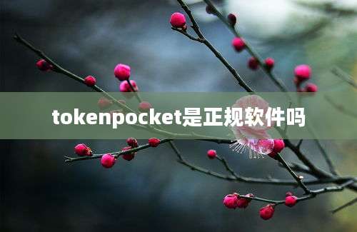 tokenpocket是正规软件吗