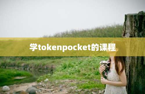 学tokenpocket的课程