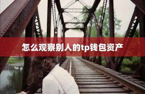 怎么观察别人的tp钱包资产
