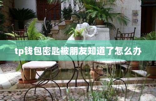 tp钱包密匙被朋友知道了怎么办