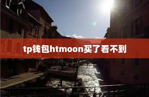 tp钱包htmoon买了看不到