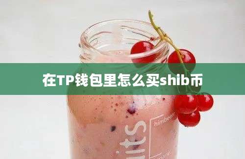在TP钱包里怎么买shib币