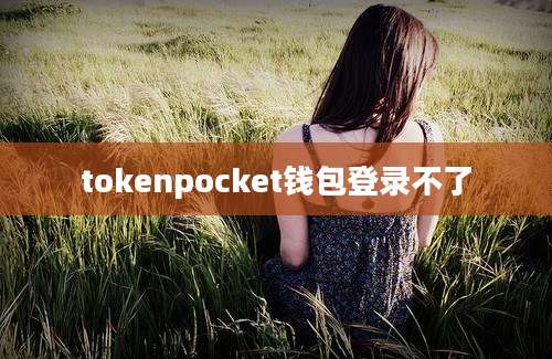 tokenpocket钱包登录不了