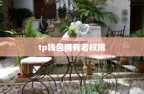 tp钱包拥有者权限