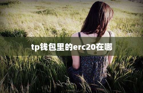 tp钱包里的erc20在哪