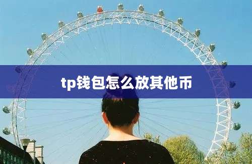 tp钱包怎么放其他币