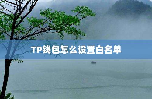 TP钱包怎么设置白名单