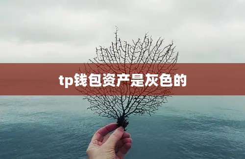 tp钱包资产是灰色的