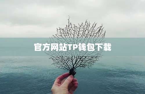 官方网站TP钱包下载