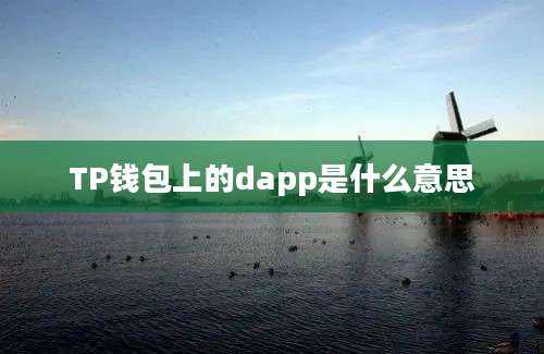 TP钱包上的dapp是什么意思