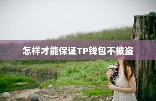 怎样才能保证TP钱包不被盗