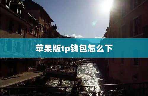苹果版tp钱包怎么下