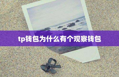 tp钱包为什么有个观察钱包