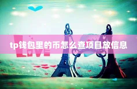 tp钱包里的币怎么查项目放信息