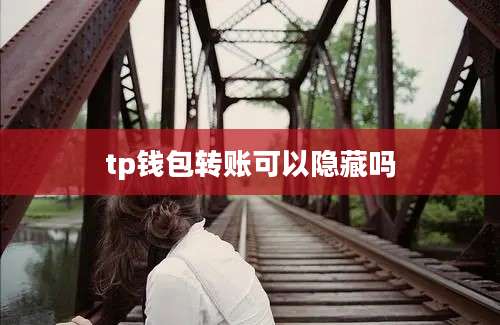 tp钱包转账可以隐藏吗