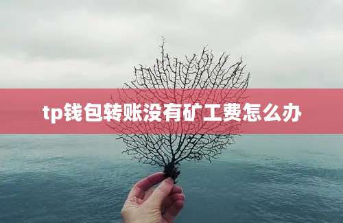 tp钱包转账没有矿工费怎么办