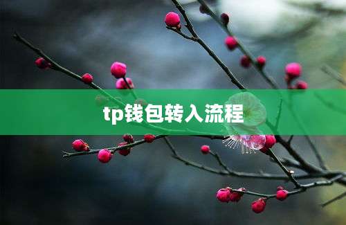 tp钱包转入流程