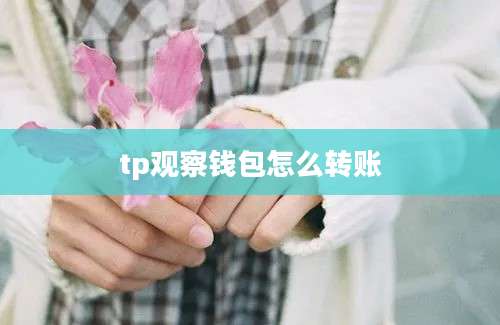 tp观察钱包怎么转账