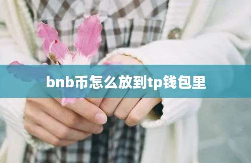 bnb币怎么放到tp钱包里