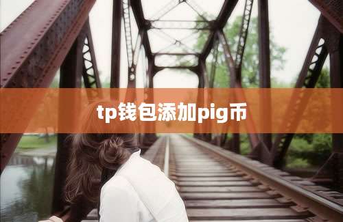 tp钱包添加pig币