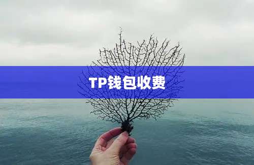 TP钱包收费