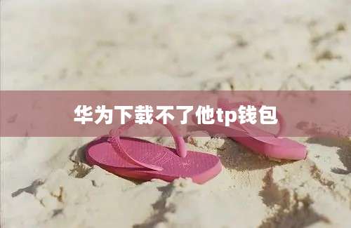华为下载不了他tp钱包