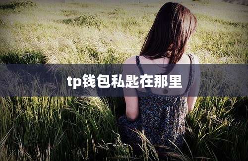 tp钱包私匙在那里