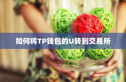 如何将TP钱包的U转到交易所