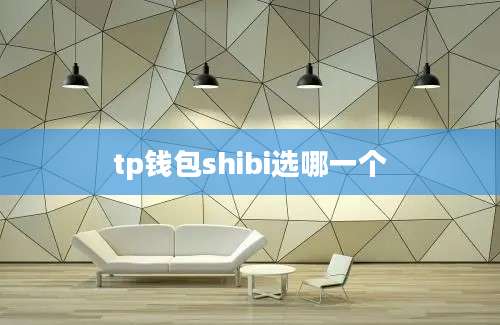 tp钱包shibi选哪一个