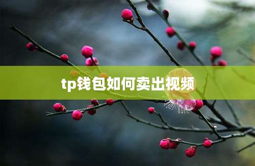 tp钱包如何卖出视频