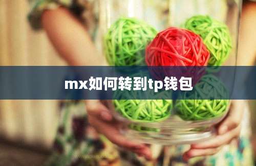 mx如何转到tp钱包
