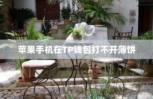 苹果手机在TP钱包打不开薄饼