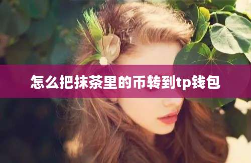 怎么把抹茶里的币转到tp钱包