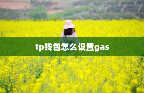tp钱包怎么设置gas