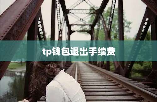 tp钱包退出手续费